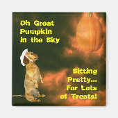 おかわいらし菓子をたくさん食べに座る マグネット (正面)