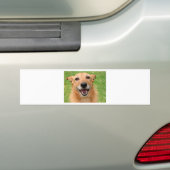 おこ猫の死/幸せな犬グッズ バンパーステッカー (車上)