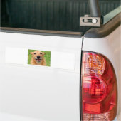 おこ猫の死/幸せな犬グッズ バンパーステッカー (トラック上)
