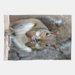 おごるタオルを楽しむ キッチンタオル