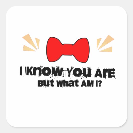おしっこい人よ、私は君が何者であるかを知っている スクエアシール (正面)