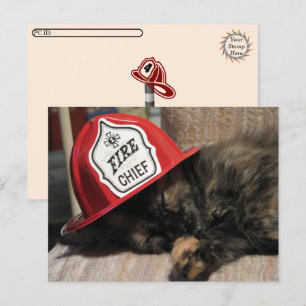 おしっこ – Cute Cat Postagrue – 消防署長 ポストカード