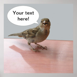 おしゃべりスパローのポスター ポスター