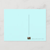 おしゃべりパロッツ~はがき鳥自然野性 ポストカード (裏面)