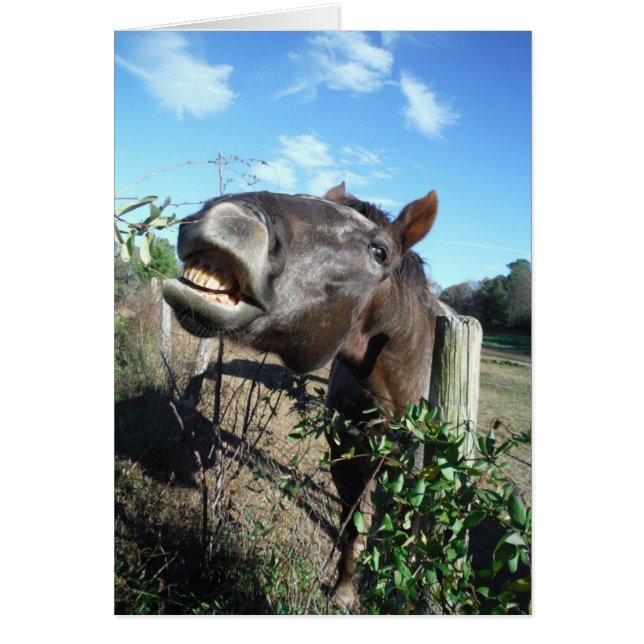 おしゃべり茶色の馬 (正面)
