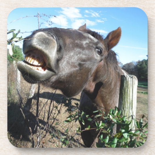 おしゃべり茶色の馬 コースター (正面)