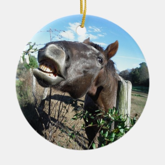 おしゃべり茶色の馬 セラミックオーナメント (正面)