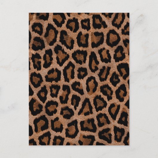 おしゃれでトレンディなヒョウ柄 ポストカード (正面)