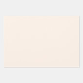 おしゃれなアースカラーシリーズ サンド クリーム モーブ 単色 ラッピングペーパーシート (正面)