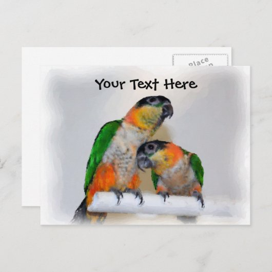 おしゃれなカイケイインコのペア ポストカード(オーダーメイド) ポストカード (正面/裏面)