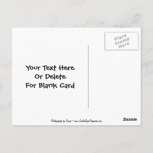 おしゃれなカイケイインコのペア ポストカード(オーダーメイド) ポストカード (裏面)