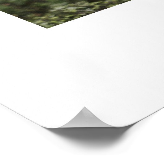 おしゃれなカリグラフィー スクリプト フォト ウェディング ウェルカム サイン (角)