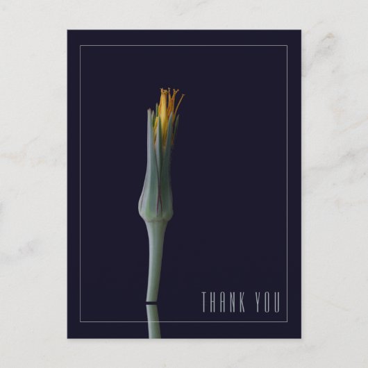 おしゃれなシンプルな花の黒の感謝カード ポストカード (正面)