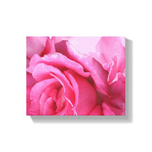 おしゃれなピンクのバラの花のモダンな花柄