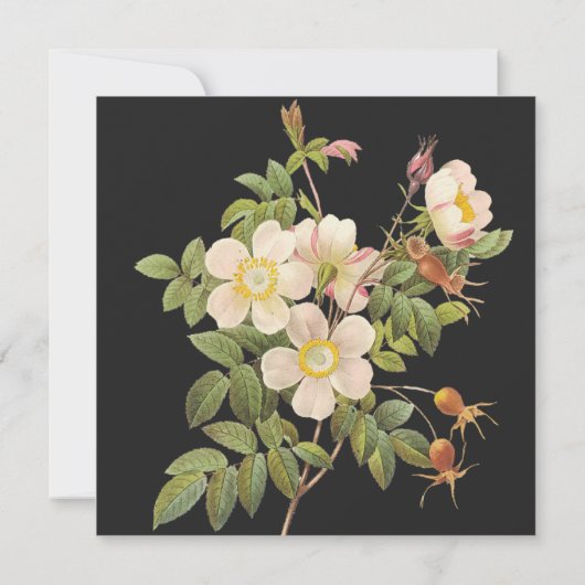 おしゃれなペイントされたプリムローズのブライズシャワー招待状 招待状 (裏面)