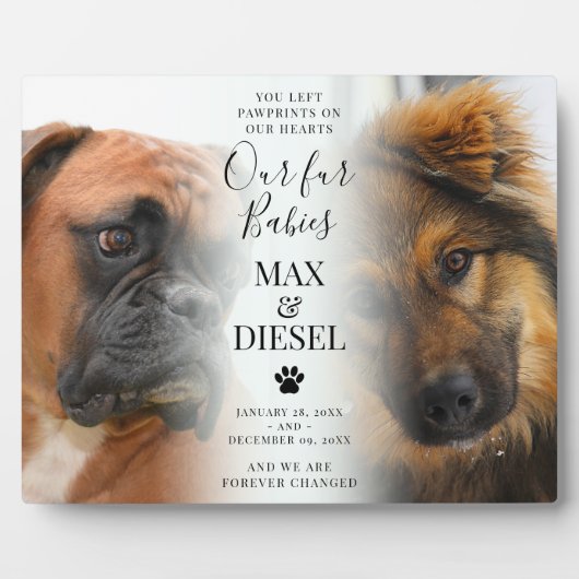 おしゃれなペットメモリアル2 犬の写真 フォトプラーク (正面)