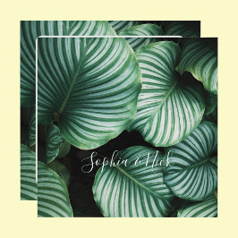 おしゃれな大きな葉のデザイン, 名前, メッセージ