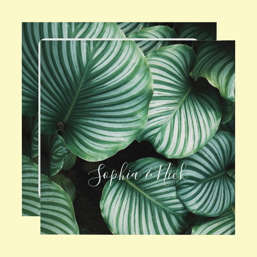 おしゃれな大きな葉のデザイン, 名前, メッセージ