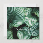 おしゃれな大きな葉のデザイン, 名前, メッセージ (正面)