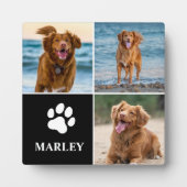 おしゃれな犬好きのための3枚の写真の組み合わせたプレート フォトプラーク (正面)
