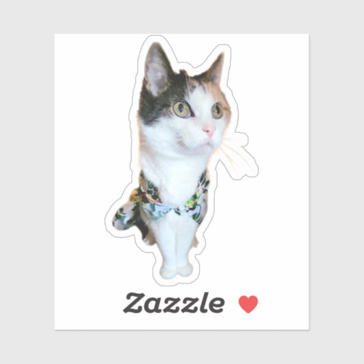 おしゃれな猫の面白いステッカー シール (シート)