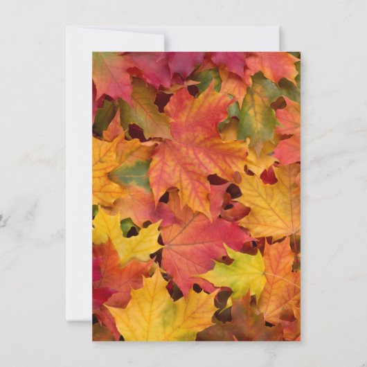 おしゃれな秋の落ち葉 バルーンウェディング SAVE THE DATE セーブザデート (裏面)