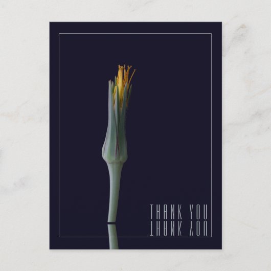 おしゃれな花の鏡像 ブラック サンクス ポストカード (正面)