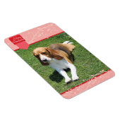 おしゃれな赤のタブ＆フレッシュ メリークリスマス マグネット (右側)