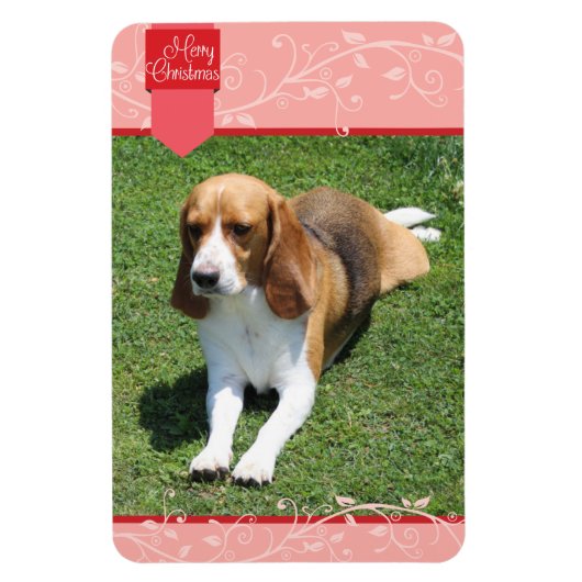 おしゃれな赤のタブ＆フレッシュ メリークリスマス マグネット (縦)