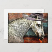 おしゃれな馬 ポストカード (正面/裏面)