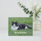 おしゃれな黒と白のタキシード猫の写真 誕生日 ポストカード (スタンド正面)