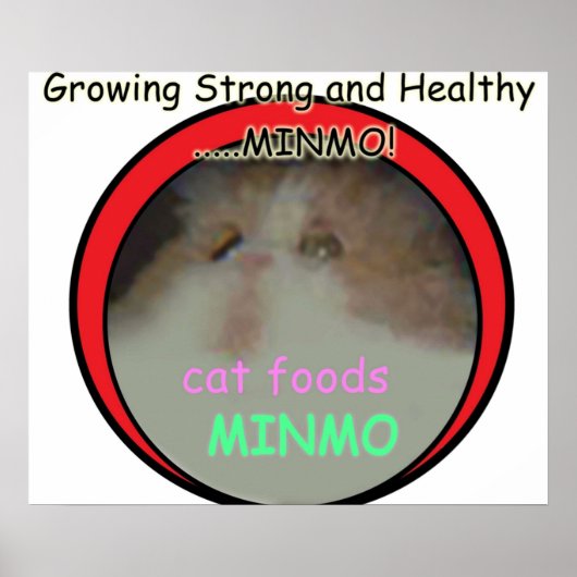 おそらく最も不明瞭な静か丘3リファレンス ポスター (正面)