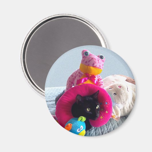 おっちょこちょいのおもちゃに隠れ詰まったた黒猫 マグネット (正面/裏面)