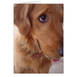 おっちょこちょいのな金