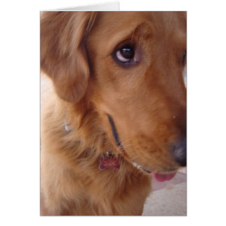 おっちょこちょいのな金