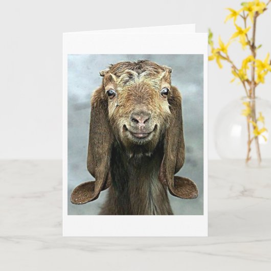 おっちょこちょいのヤギ**お前の誕生日!!!!** カード (黄色い花)