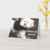 おっと忘れ誕生日 カード (黄色い花)