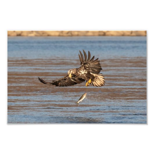 おっと落としてくれ。 フォトプリント            (正面)