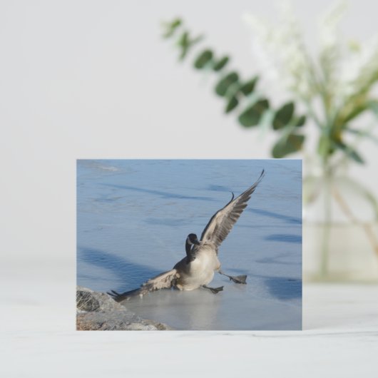 おっと! ポストカード (スタンド正面)