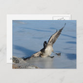 おっと！ ポストカード (正面/裏面)