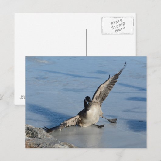 おっと！ ポストカード (正面/裏面)