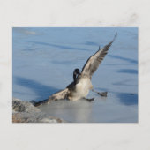 おっと！ ポストカード (正面)