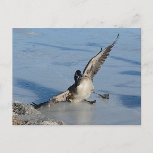 おっと！ ポストカード (正面)