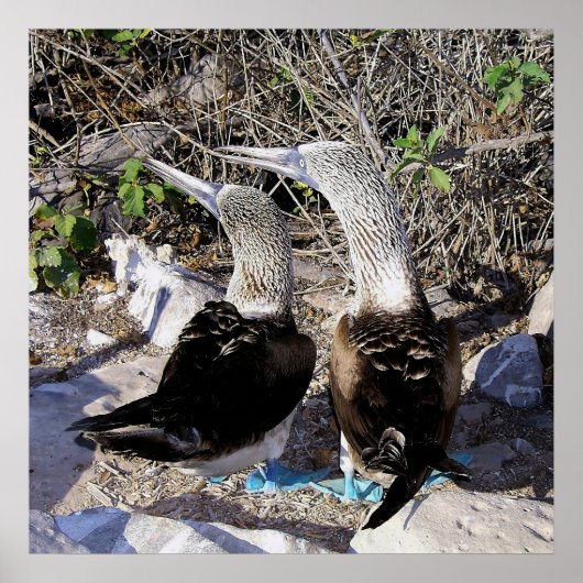 おっぱい大好き！ ポスター (正面)