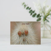 おっ ポストカード (スタンド正面)