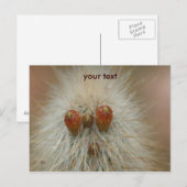 おっ ポストカード (正面/裏面)