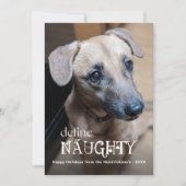 おてんばで面白いペットの写真 犬 猫 シーズンカード (正面)