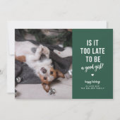 おてんばペットのホリデー写真カード シーズンカード (正面)