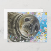 おとぎ話のアシカ海の花 ポストカード (正面/裏面)