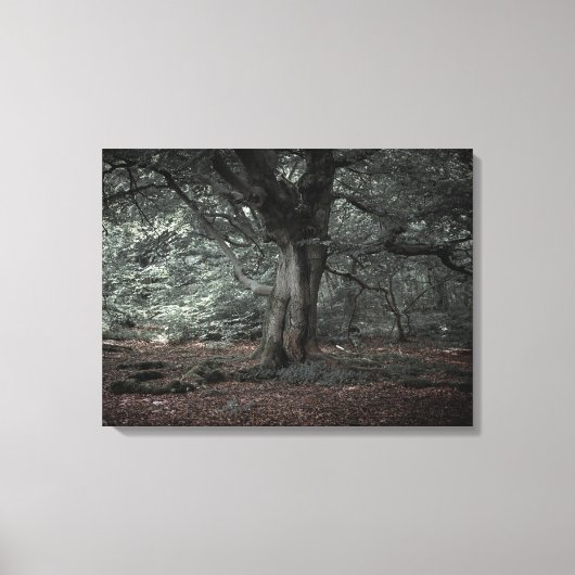 おとぎ話の森で キャンバスプリント (正面)